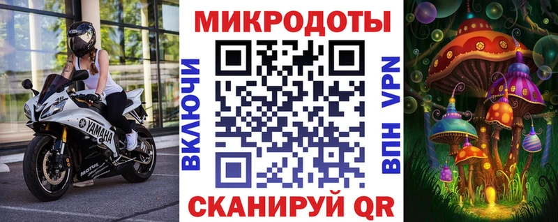 Галлюциногенные грибы мицелий  Москва 